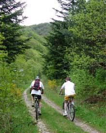 VTT dans un chemin